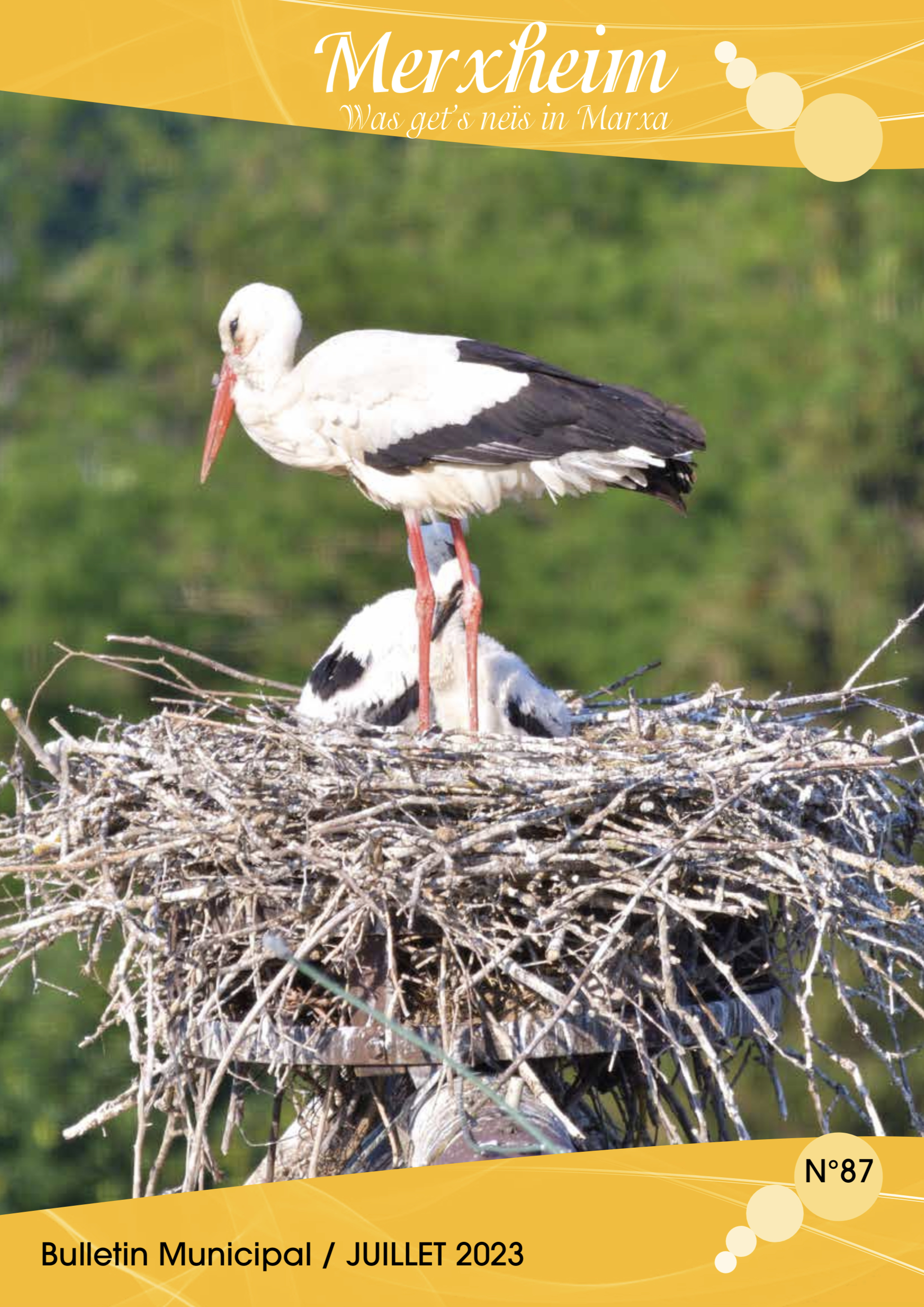 Document à télécharger
